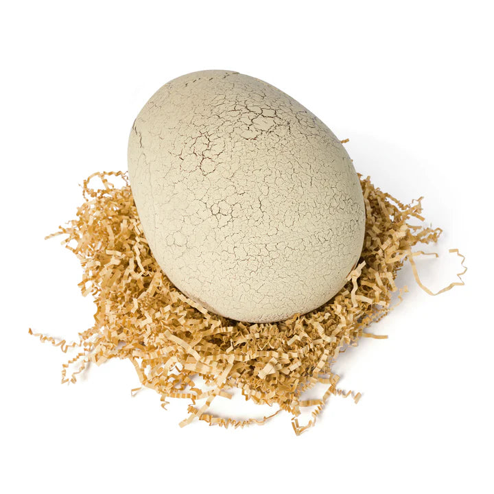 Primal Hatch Interactive Dinosaur Egg